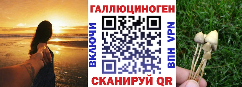 сколько стоит  Малоархангельск  Галлюциногенные грибы GOLDEN TEACHER 